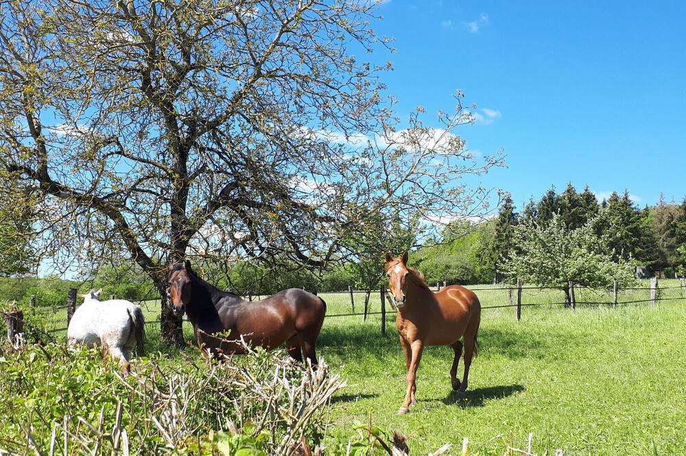 Photo of Outdoor in Mauvages