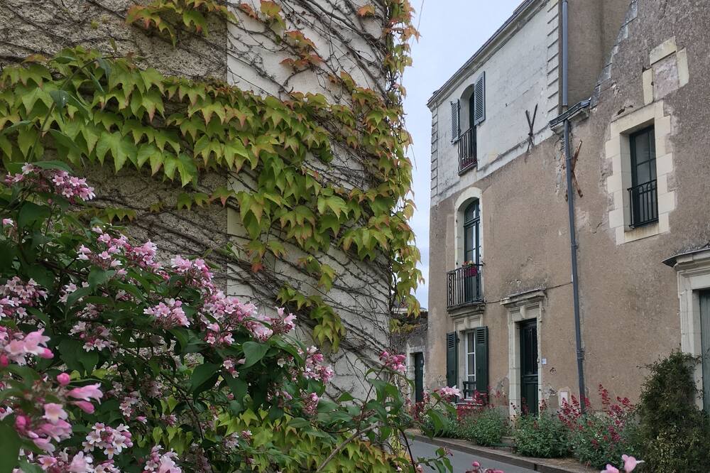 Photo of Outdoor in Sainte-Gemmes-sur-Loire