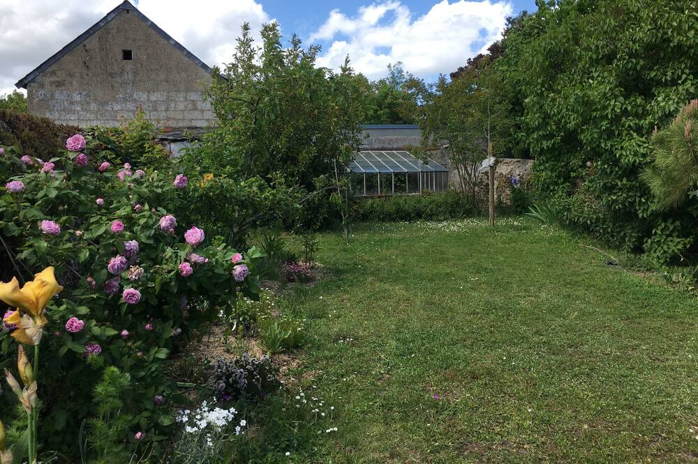 Photo of Outdoor in Sainte-Gemmes-sur-Loire