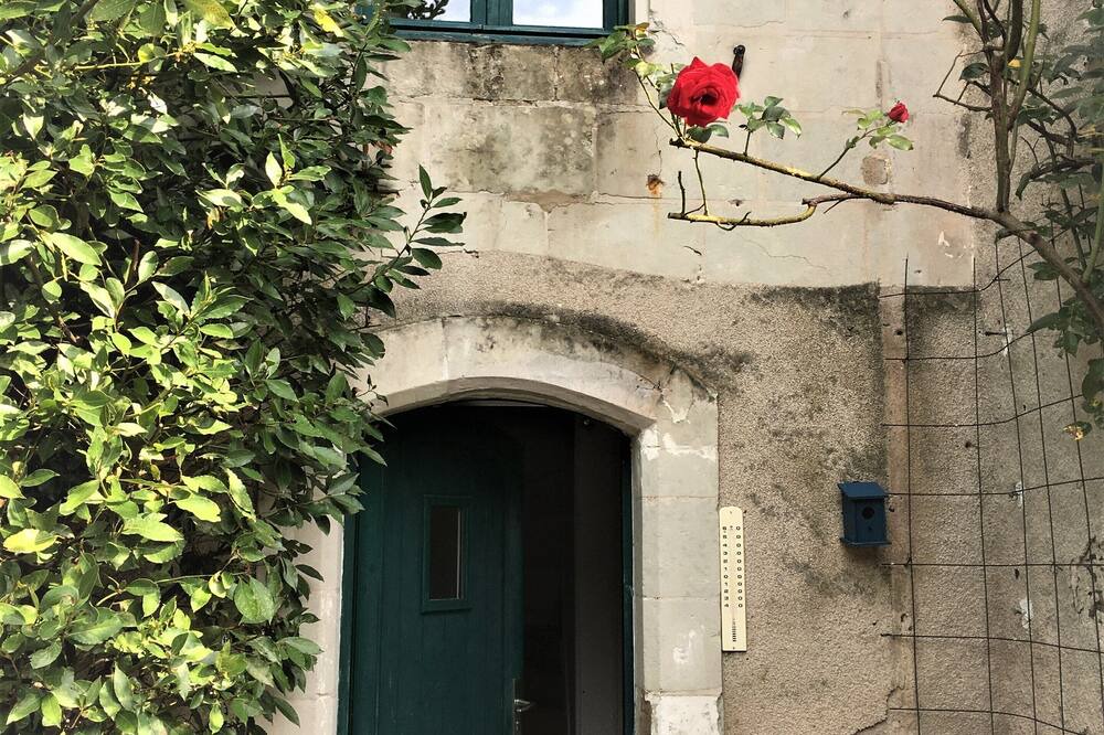 Photo of Outdoor in Sainte-Gemmes-sur-Loire