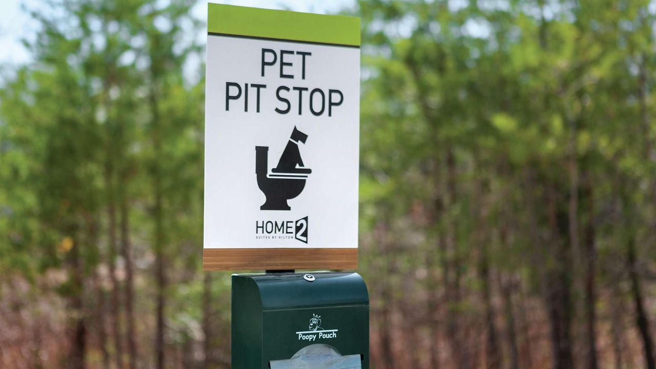 Photo of Outdoor in White Marsh