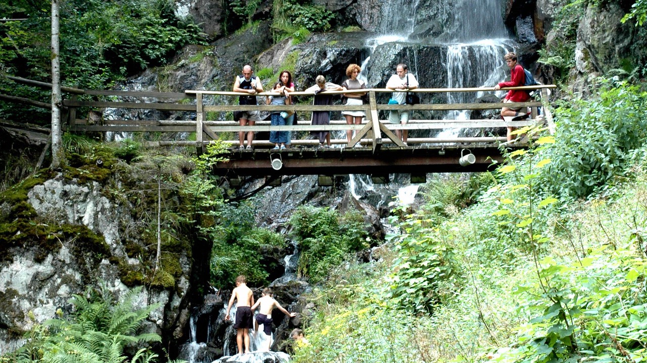 Photo of Others in Klingenthal