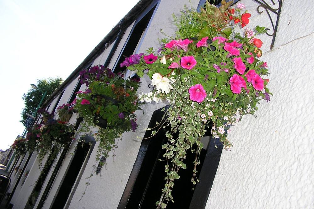 Photo of Outdoor in Lanark