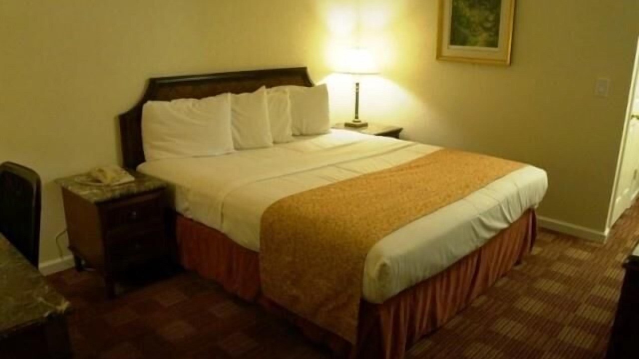 Photo of Others in Waterford