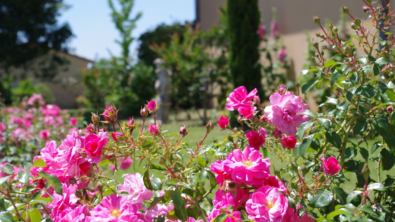 Photo of Outdoor in Vagnas