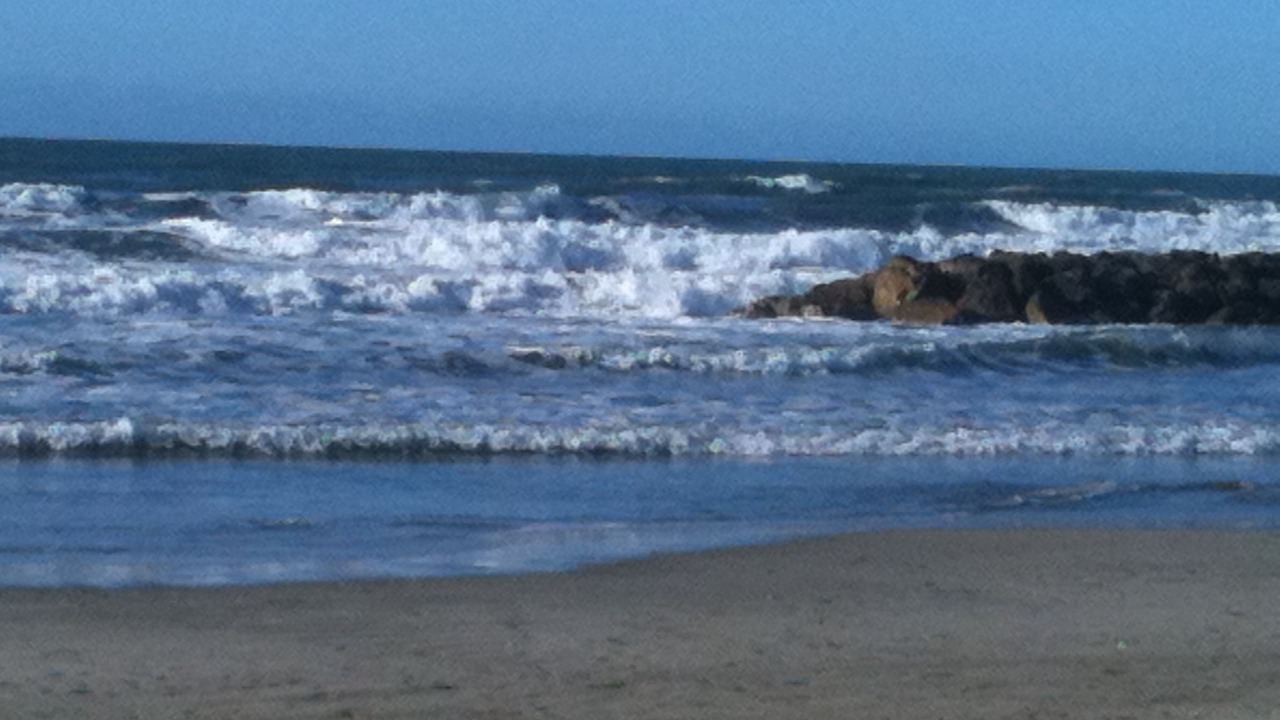 Photo of Others in Carnon-Plage