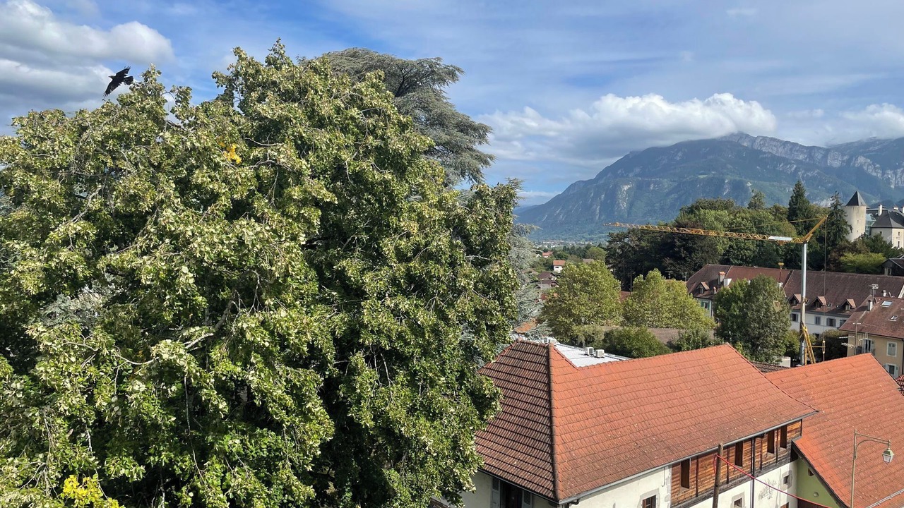 Photo of Others in La Roche-sur-Foron