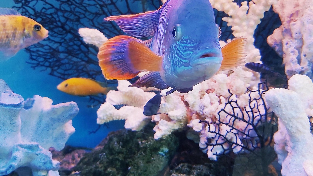 Photo of Others in Braintree