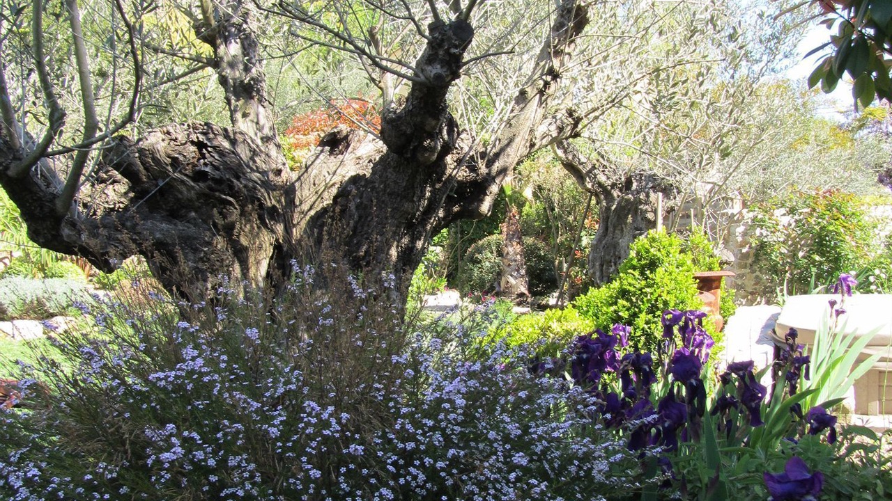 Photo of Outdoor in Mougins