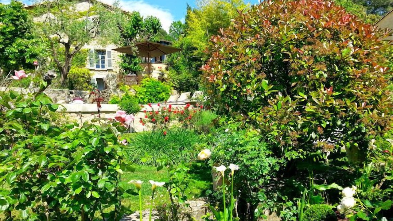 Photo of Outdoor in Mougins