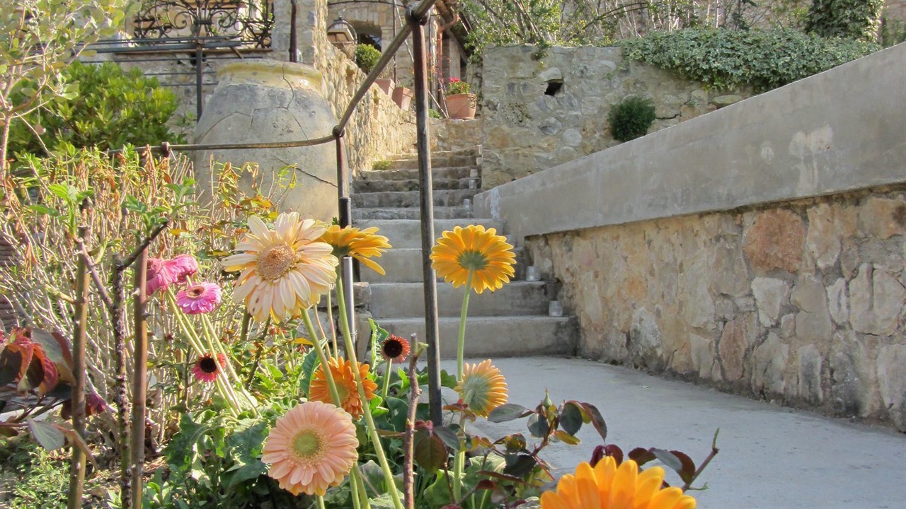 Photo of Outdoor in Mougins