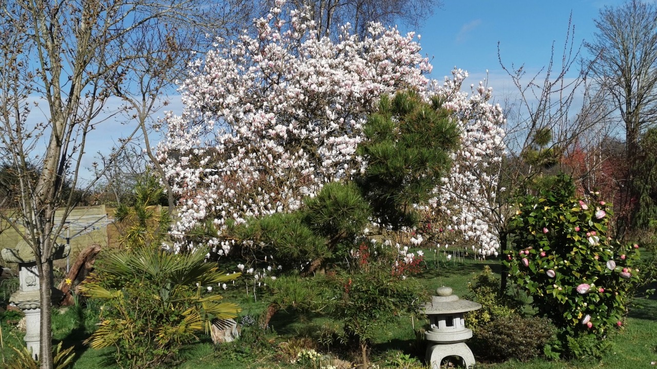 Photo of Outdoor in Tenterden