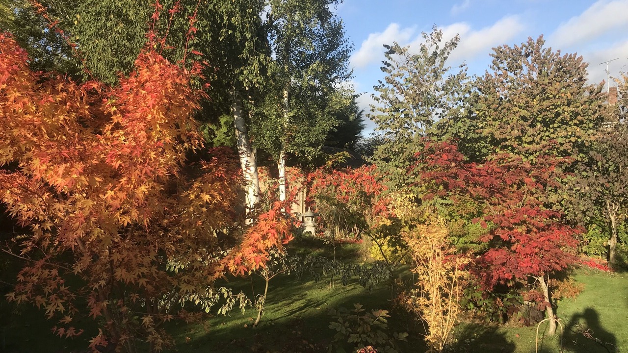 Photo of Outdoor in Tenterden