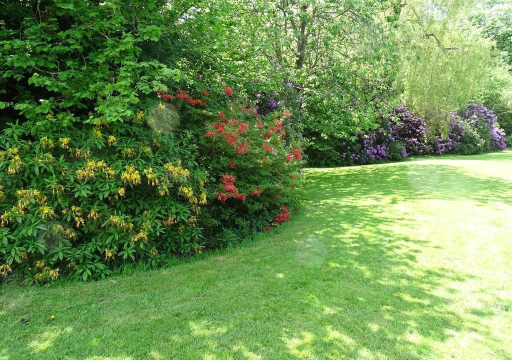 Photo of Outdoor in Trelil