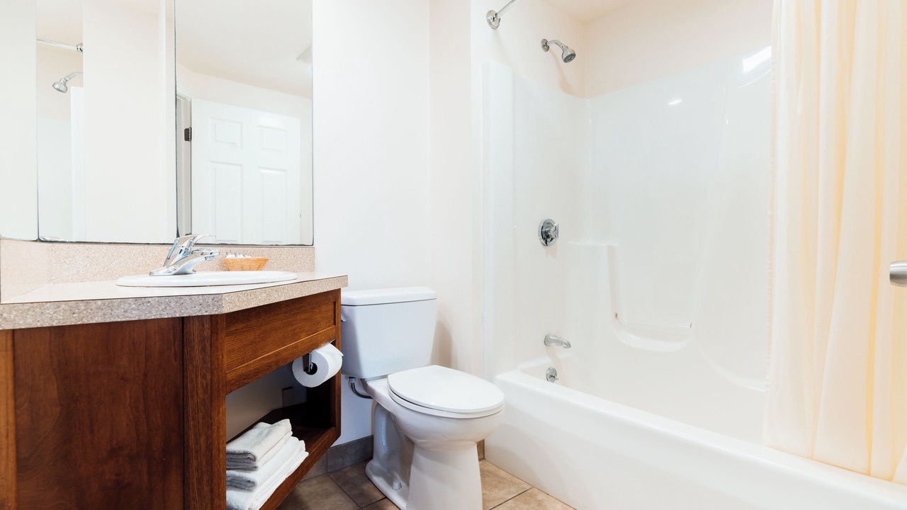 Photo of Others in Belfast