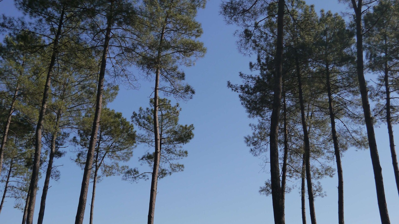 Photo of Outdoor in Saint-Avit