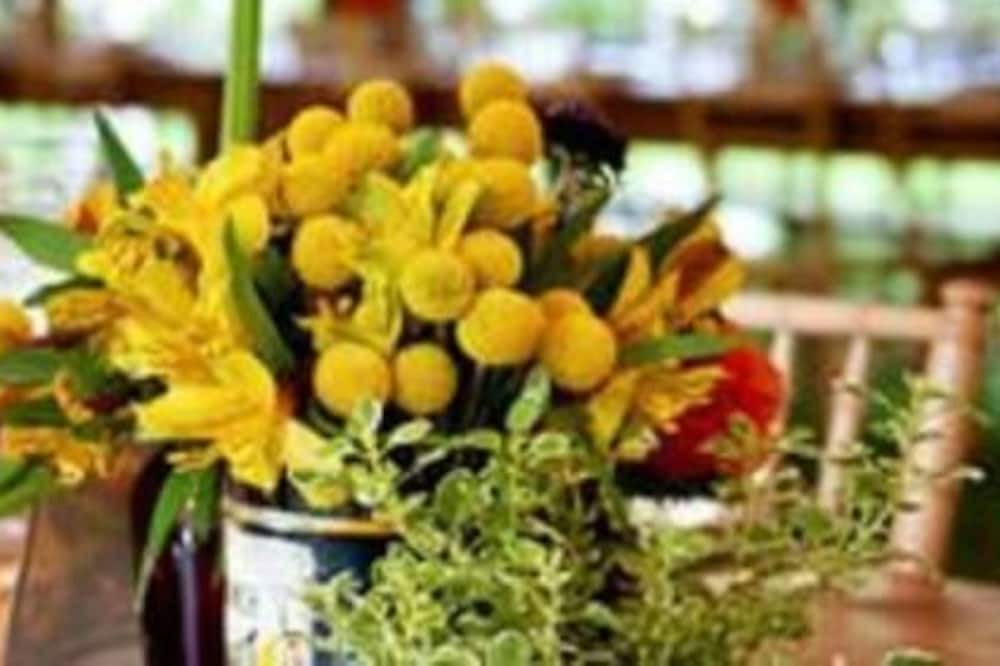 Photo of Others in Haines Falls