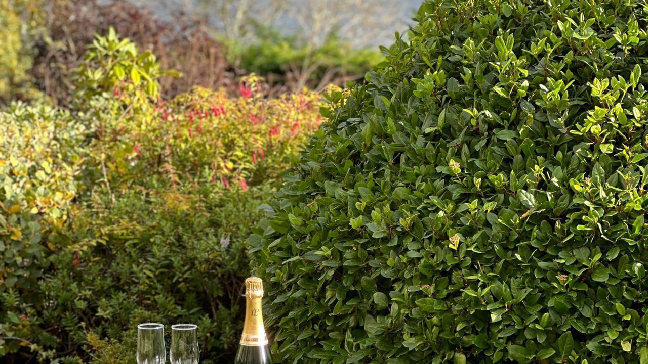 Photo of Patio Balcony in Lewiston