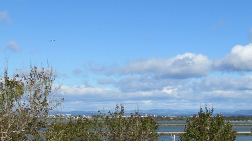 Photo of Others in Palavas-les-Flots