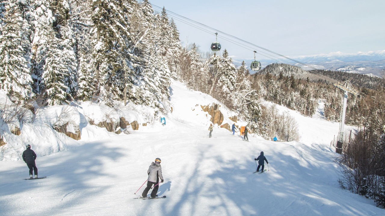 Photo of Others in North Creek