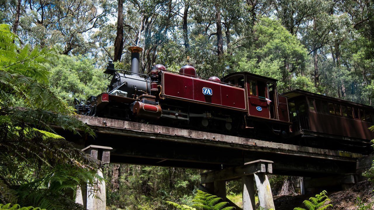 Photo of Others in Sassafras