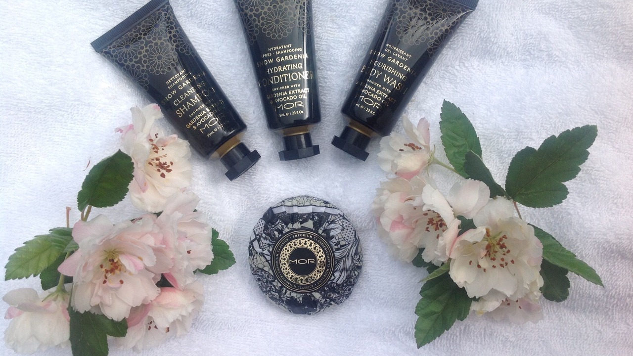 Photo of Others in Sassafras