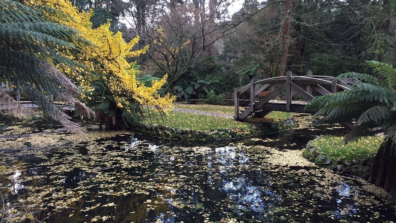 Photo of Others in Sassafras