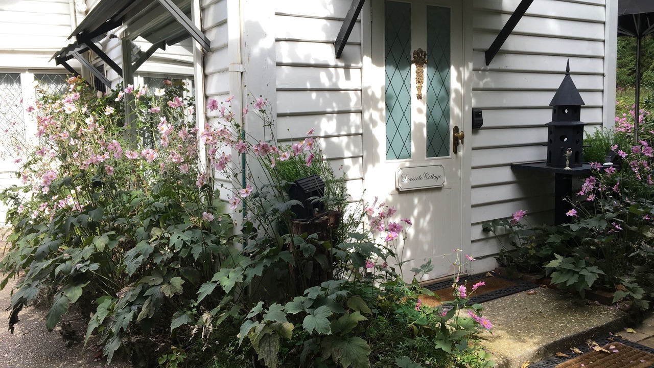 Photo of Outdoor in Sassafras