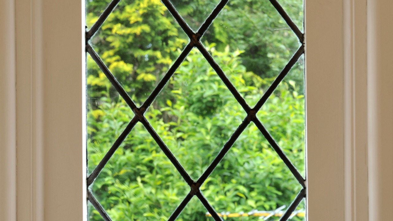 Photo of Outdoor in Sassafras