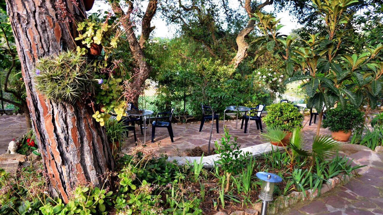 Photo of Outdoor in Lloret Town Center