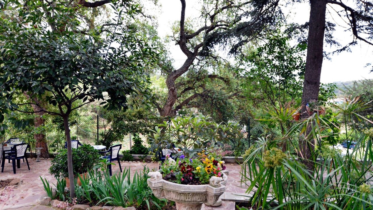Photo of Outdoor in Lloret Town Center