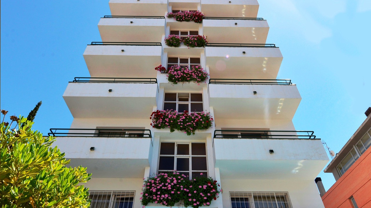 Photo of Outdoor in Lloret Town Center