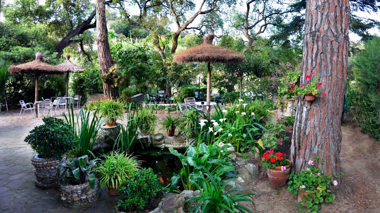 Photo of Outdoor in Lloret Town Center