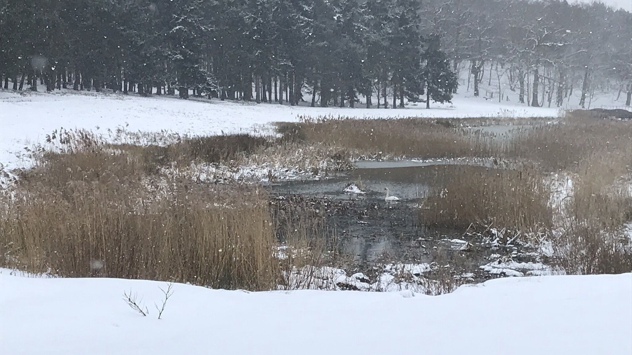 Photo of Outdoor in Beccles