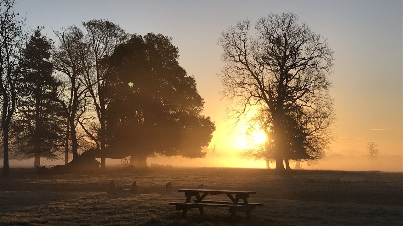 Photo of Outdoor in Beccles