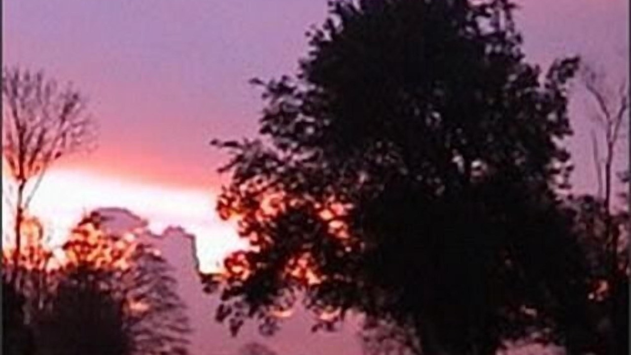 Photo of Others in Beccles