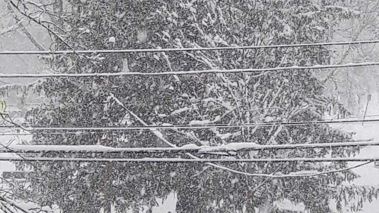 Photo of Outdoor in Wrentham