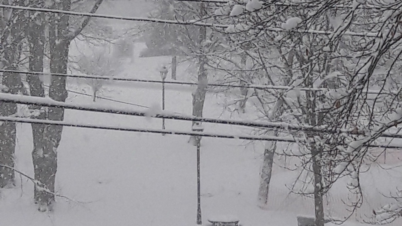 Photo of Outdoor in Wrentham