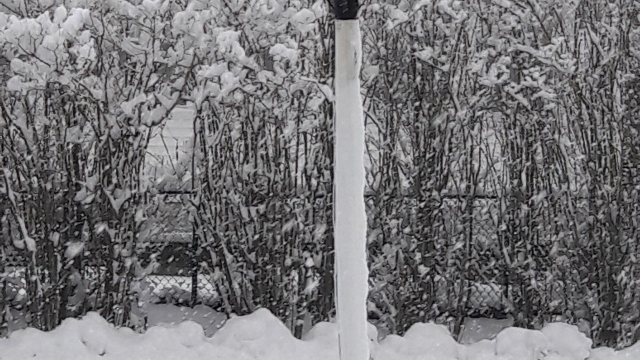 Photo of Outdoor in Wrentham