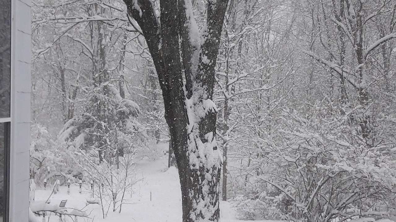 Photo of Outdoor in Wrentham