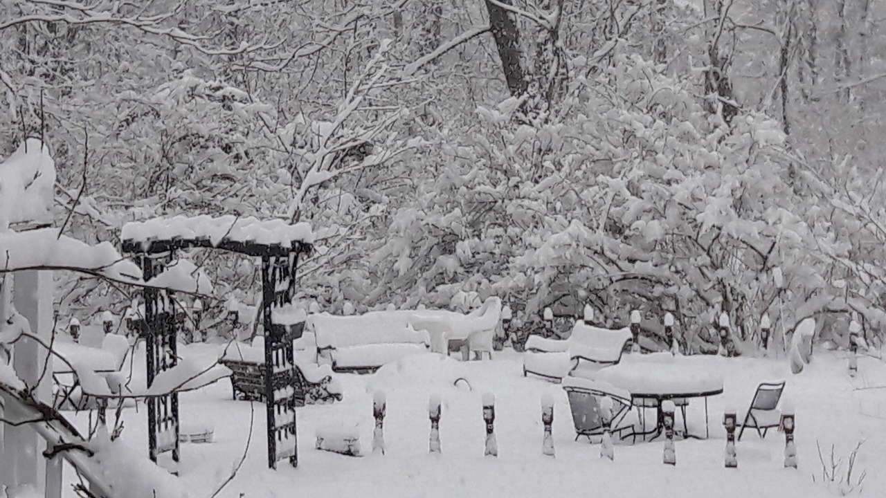 Photo of Outdoor in Wrentham