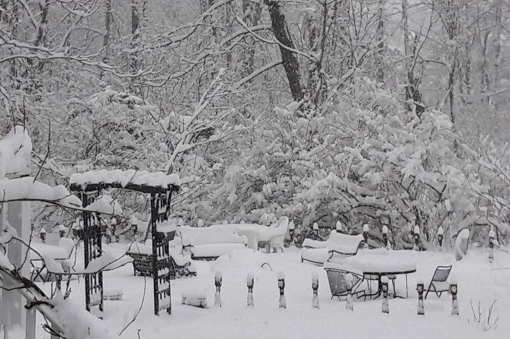 Photo of Outdoor in Wrentham