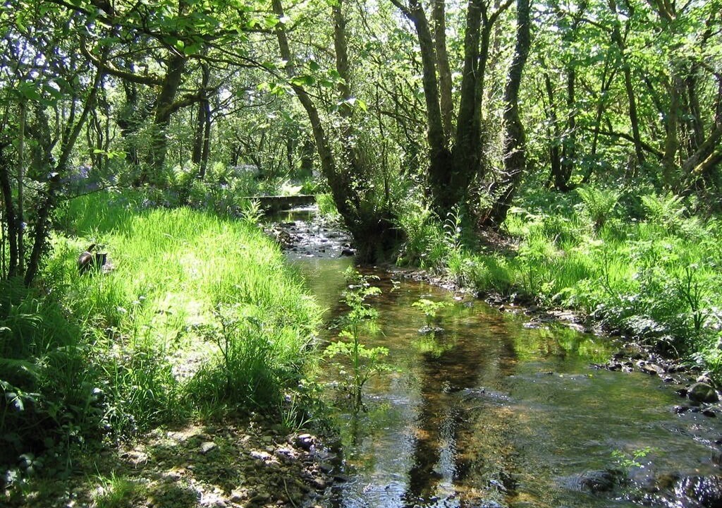 Photo of Others in Warleggan