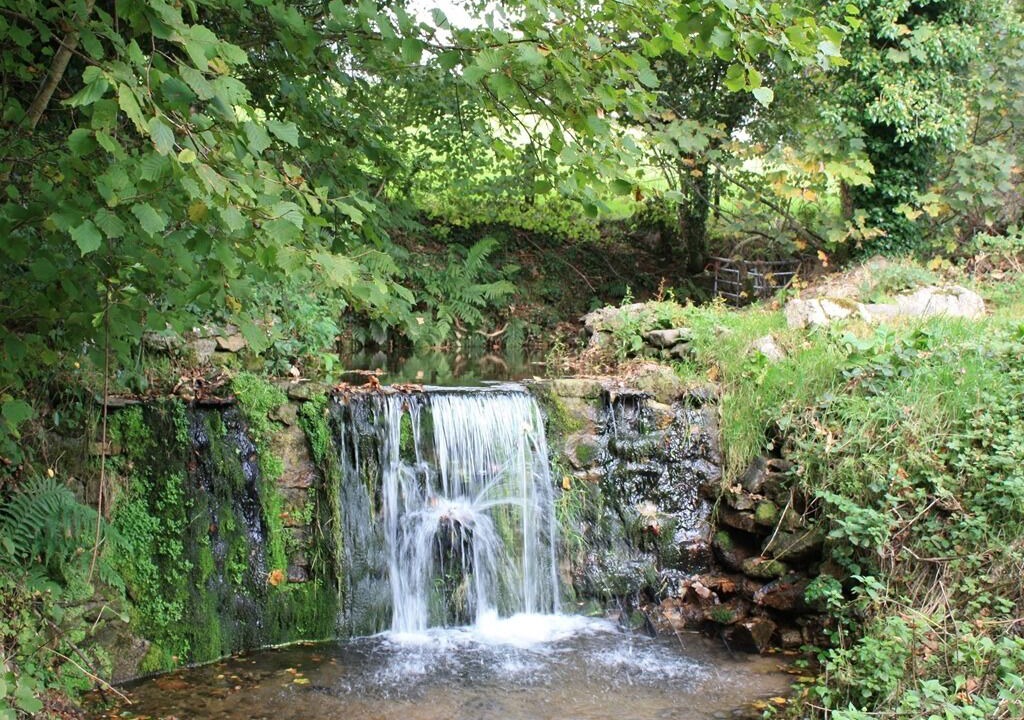 Photo of Others in Warleggan