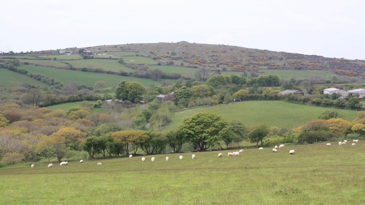 Photo of Others in Warleggan