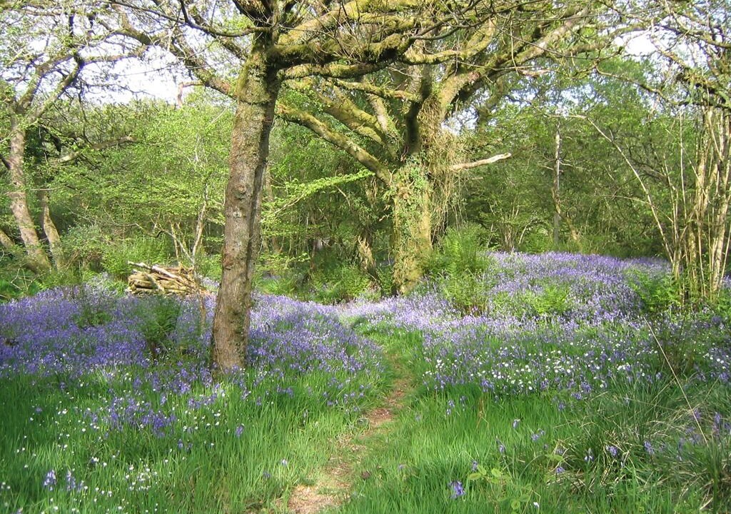 Photo of Others in Warleggan