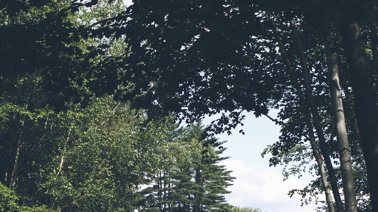 Photo of Outdoor in Fryeburg