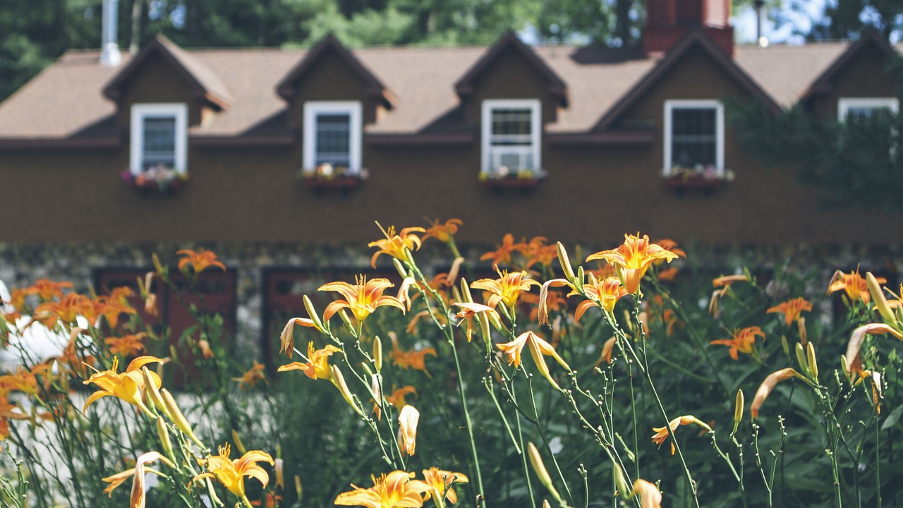 Photo of Outdoor in Fryeburg