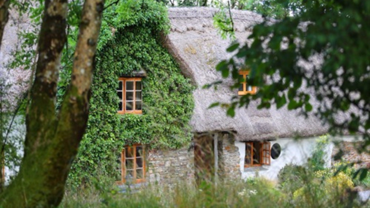 Photo of Others in Beaworthy