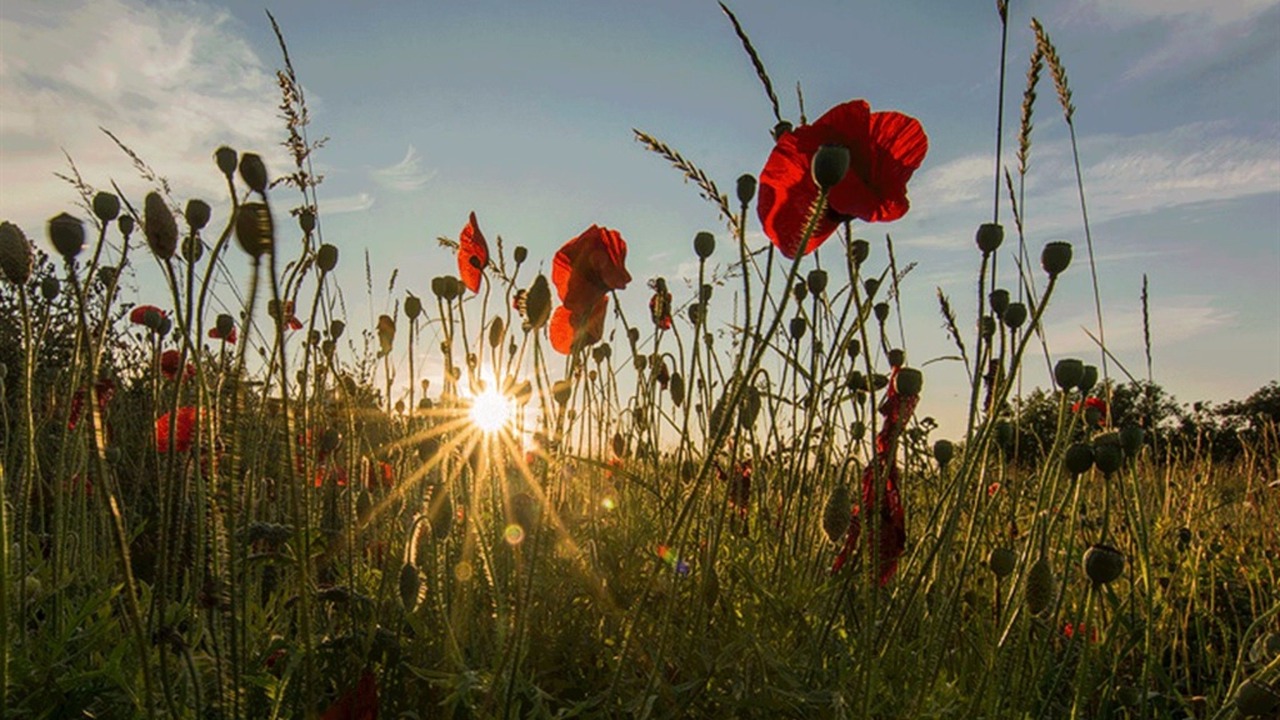 Photo of Others in Beaworthy